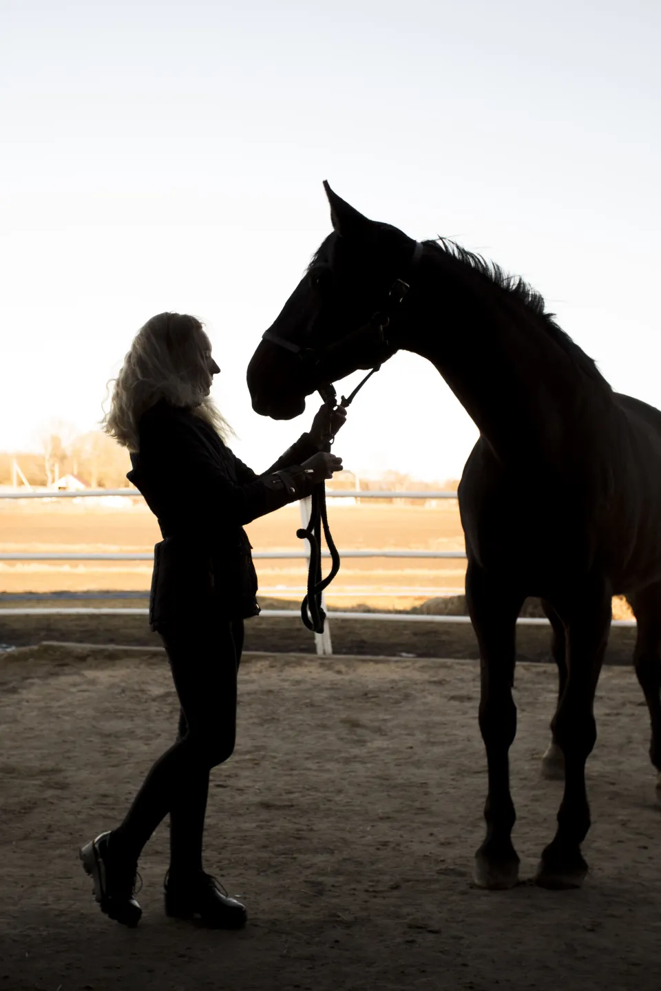 Rider with a horse at sunset